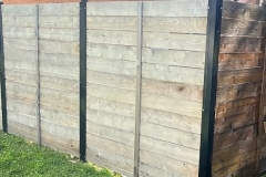 WallBefore